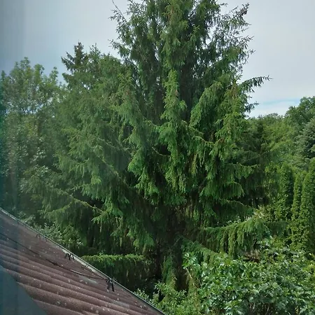 Oda ve Kahvaltı Diana Panzio