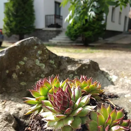 Bed & Breakfast Diana Panzio 3*