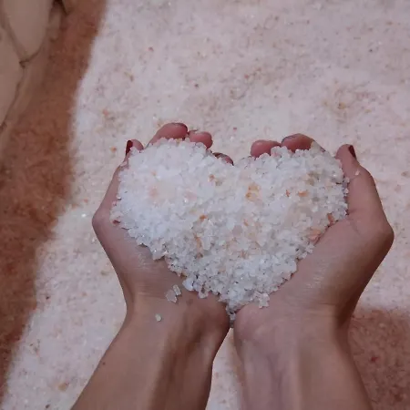 Diana Panzio Oda ve Kahvaltı 3*