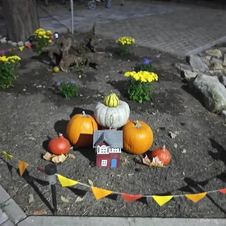 Diana Panzio Bed & Breakfast 3*