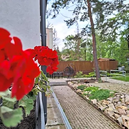 Bed and Breakfast Diana Panzio Matrafured