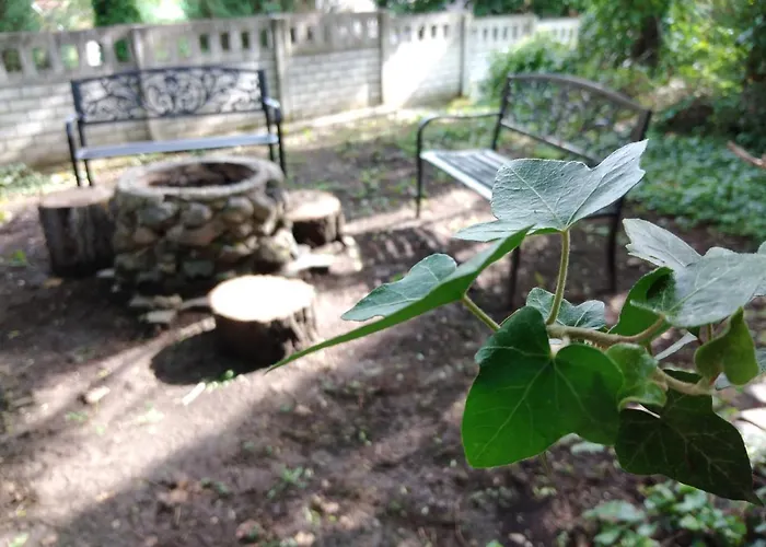 Diana Panzio Bed & Breakfast